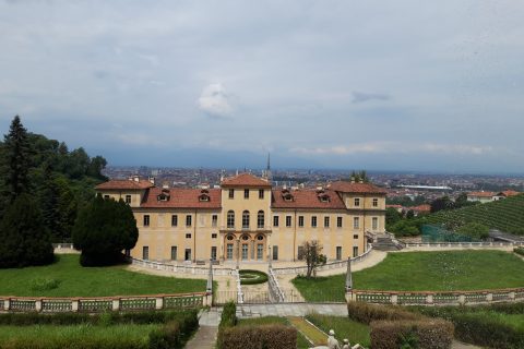 Villa della Regina gemella il suo vigneto con quello del Castello di Schonbrunn
